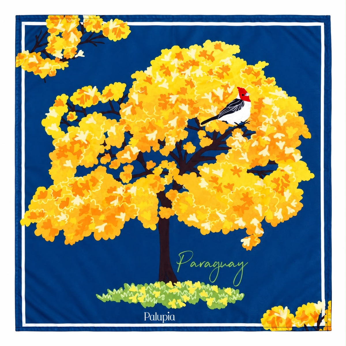 Pañuelo - Diseños Paraguay